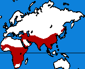 Carte de la répartition du léopard.